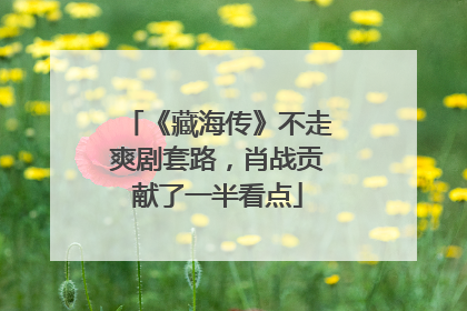 《藏海传》不走爽剧套路，肖战贡献了一半看点