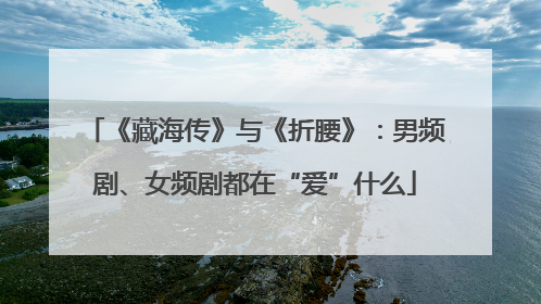 《藏海传》与《折腰》：男频剧、女频剧都在“爱”什么