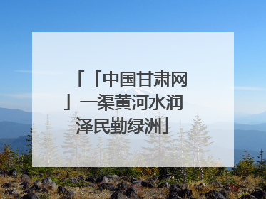 「中国甘肃网」一渠黄河水润泽民勤绿洲
