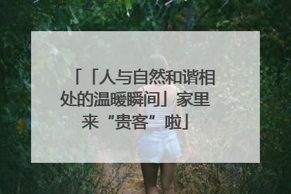 「人与自然和谐相处的温暖瞬间」家里来“贵客”啦