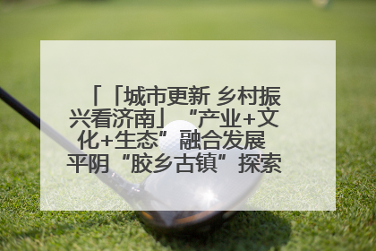 「城市更新 乡村振兴看济南」“产业+文化+生态”融合发展 平阴“胶乡古镇”探索振兴路径成效显著