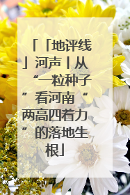 「地评线」河声丨从“一粒种子”看河南“两高四着力”的落地生根