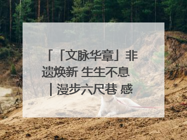 「文脉华章」非遗焕新 生生不息｜漫步六尺巷 感受礼让文化浸润的“巷”往生活