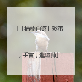 「楠楠自语」彩蛋，手雷，邋遢帅