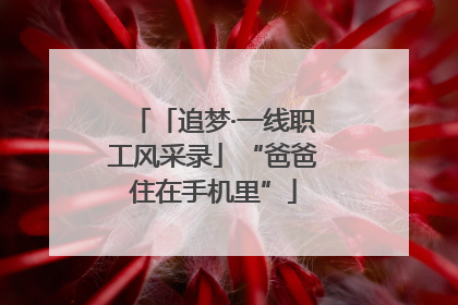 「追梦·一线职工风采录」“爸爸住在手机里”