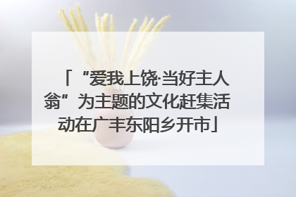 “爱我上饶·当好主人翁”为主题的文化赶集活动在广丰东阳乡开市