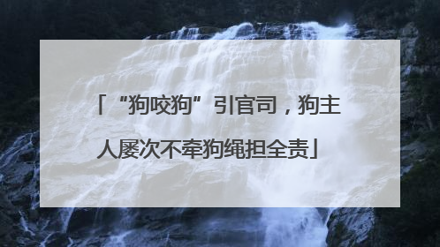 “狗咬狗”引官司，狗主人屡次不牵狗绳担全责