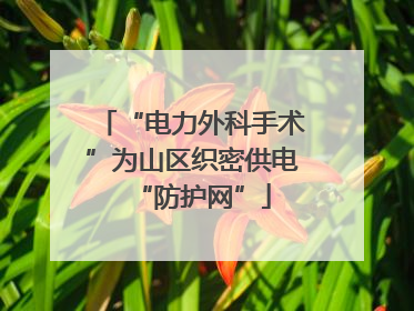 “电力外科手术”为山区织密供电“防护网”