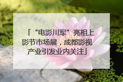 “电影川军”亮相上影节市场展，成都影视产业引发业内关注