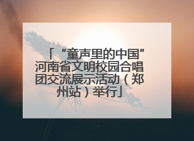 “童声里的中国”河南省文明校园合唱团交流展示活动（郑州站）举行