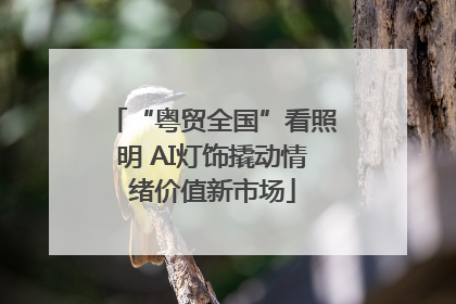 “粤贸全国”看照明 AI灯饰撬动情绪价值新市场