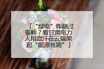 “绿电”咋翻过秦岭？看甘肃电力人用血汗在云端架起“能源丝路”