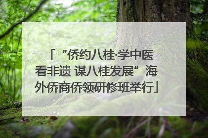 “侨约八桂·学中医 看非遗 谋八桂发展”海外侨商侨领研修班举行