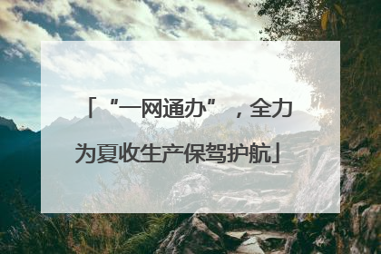 “一网通办”，全力为夏收生产保驾护航
