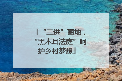 “三进”菌地，“黑木耳法庭”呵护乡村梦想
