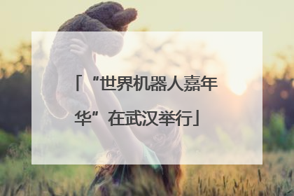 “世界机器人嘉年华”在武汉举行