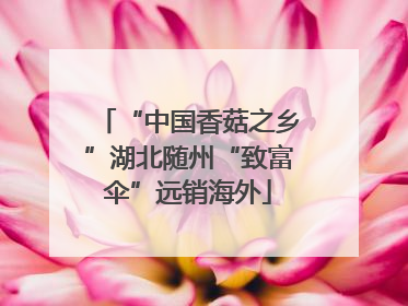 “中国香菇之乡”湖北随州“致富伞”远销海外