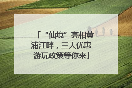 “仙境”亮相黄浦江畔，三大优惠游玩政策等你来