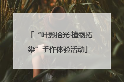 “叶影拾光·植物拓染”手作体验活动