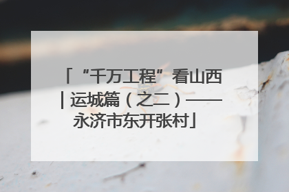 “千万工程”看山西｜运城篇（之二）——永济市东开张村