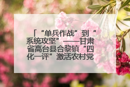 “单兵作战”到“系统攻坚”——甘肃省高台县合黎镇“四化一评”激活农村党员管理新引擎