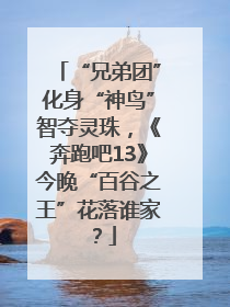 “兄弟团”化身“神鸟”智夺灵珠，《奔跑吧13》今晚“百谷之王”花落谁家？