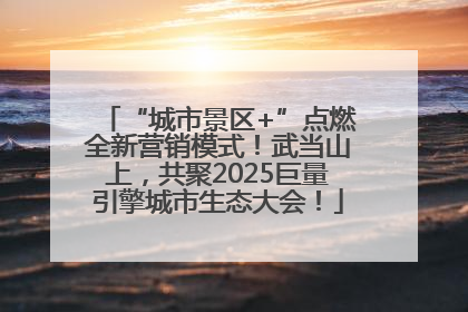 “城市景区+”点燃全新营销模式！武当山上，共聚2025巨量引擎城市生态大会！