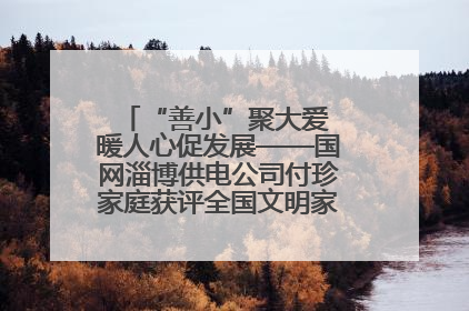 “善小”聚大爱 暖人心促发展——国网淄博供电公司付珍家庭获评全国文明家庭背后的文明密码
