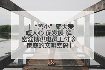 “善小”聚大爱 暖人心 促发展 解密淄博供电员工付珍家庭的文明密码