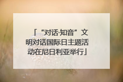 “对话·知音”文明对话国际日主题活动在尼日利亚举行