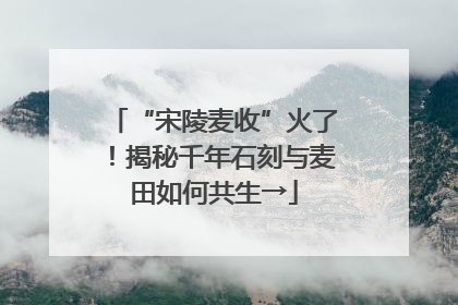 “宋陵麦收”火了！揭秘千年石刻与麦田如何共生→