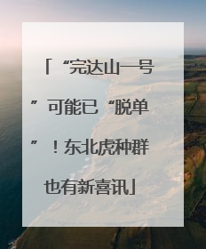 “完达山一号”可能已“脱单”！东北虎种群也有新喜讯