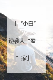 “小白”逆袭大“盈”家