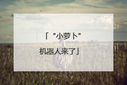 “小萝卜”机器人来了