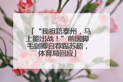 “我祖籍泰州，马上能出战！”前国脚毛剑卿自荐踢苏超，体育局回应