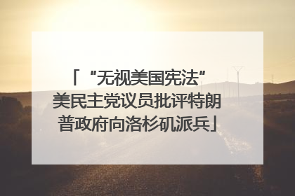“无视美国宪法” 美民主党议员批评特朗普政府向洛杉矶派兵