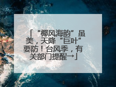 “椰风海韵”虽美，天降“巨叶”要防！台风季，有关部门提醒→
