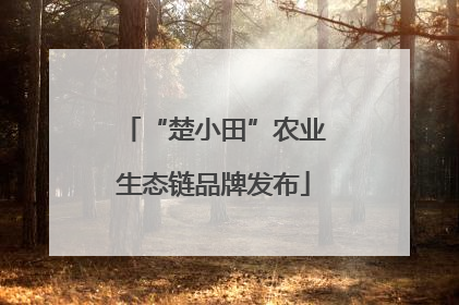 “楚小田”农业生态链品牌发布
