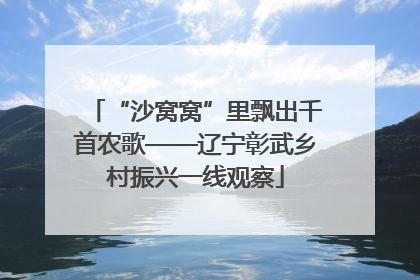 “沙窝窝”里飘出千首农歌——辽宁彰武乡村振兴一线观察