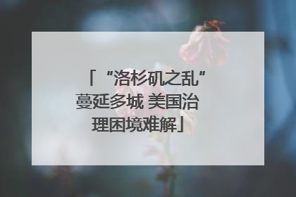 “洛杉矶之乱”蔓延多城 美国治理困境难解