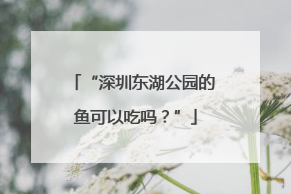 “深圳东湖公园的鱼可以吃吗？”