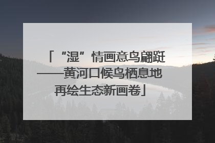 “湿”情画意鸟翩跹——黄河口候鸟栖息地再绘生态新画卷