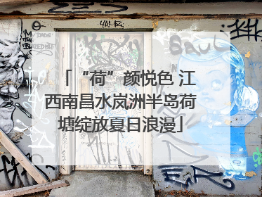 “荷”颜悦色 江西南昌水岚洲半岛荷塘绽放夏日浪漫