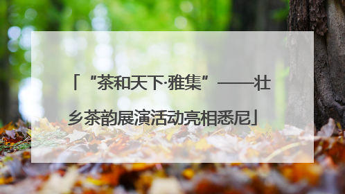 “茶和天下·雅集”——壮乡茶韵展演活动亮相悉尼