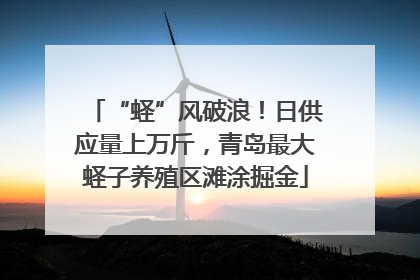 “蛏”风破浪！日供应量上万斤，青岛最大蛏子养殖区滩涂掘金