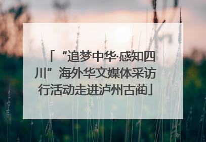 “追梦中华·感知四川”海外华文媒体采访行活动走进泸州古蔺