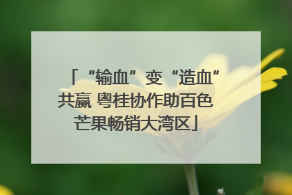 “输血”变“造血”共赢 粤桂协作助百色芒果畅销大湾区