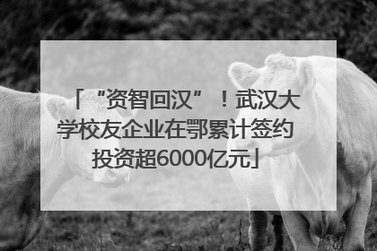 “资智回汉”！武汉大学校友企业在鄂累计签约投资超6000亿元