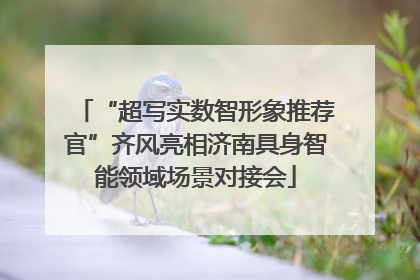 “超写实数智形象推荐官”齐风亮相济南具身智能领域场景对接会