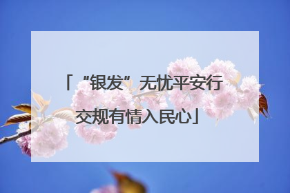 “银发”无忧平安行 交规有情入民心